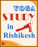 Yoga Study in Rishikesh